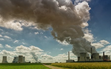 ग्रीन और ESG इंश्योरेंस: पर्यावरण के अनुकूल पॉलिसी विकल्प