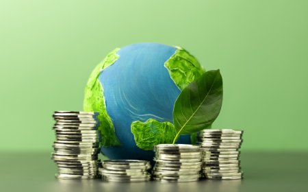 हरित निवेश भारत में: क्यों अब हर रुपया मायने रखता है?