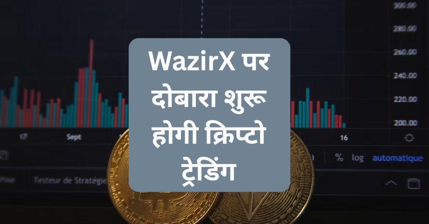 WazirX पर दोबारा शुरू होगी क्रिप्टो ट्रेडिंग, 30 दिन तक नहीं लगेगी फीस — जानिए पूरी डिटेल