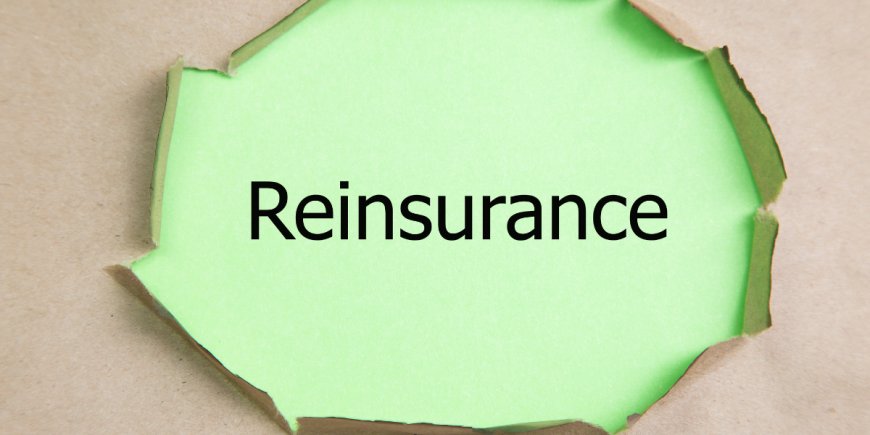 प्रीमियम फाइनेंस और रीइंश्योरेंस में जोखिम