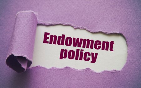 टर्म इंश्योरेंस बनाम एंडोमेंट प्लान: सही विकल्प कैसे चुनें?