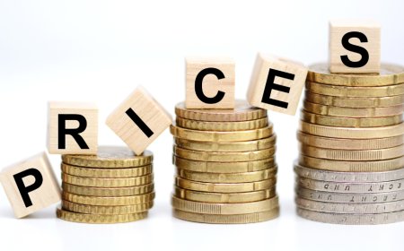 भारत में 2025 में बढ़ती महंगाई का व्यक्तिगत बजट पर प्रभाव