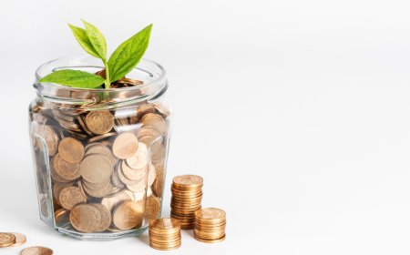 एएसजी (ESG) निवेश: भारतीय निवेशक क्यों अब ‘सस्टेनेबल फंड्स’ की ओर बढ़ रहे हैं?