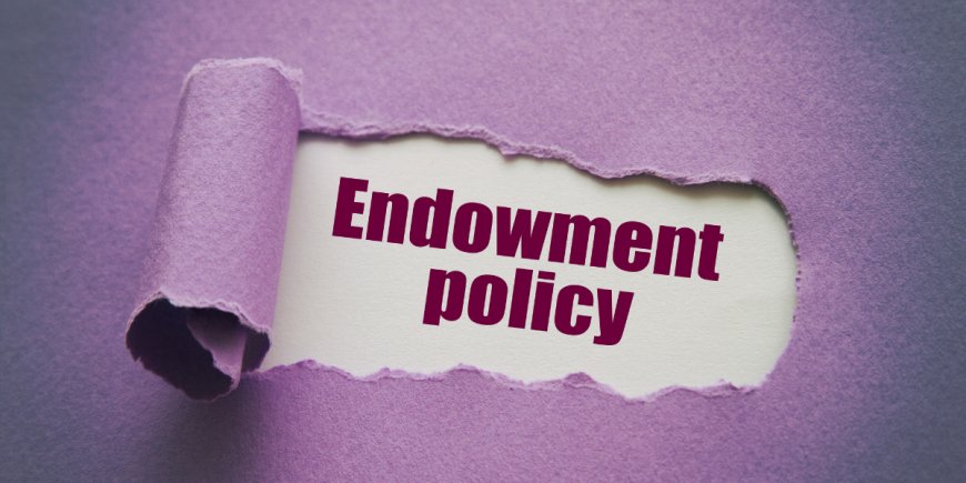 टर्म इंश्योरेंस बनाम एंडोमेंट प्लान: सही विकल्प कैसे चुनें?