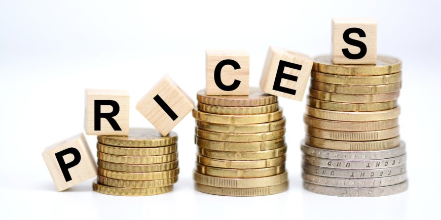 भारत में 2025 में बढ़ती महंगाई का व्यक्तिगत बजट पर प्रभाव