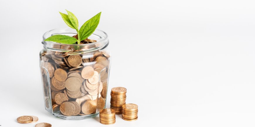 एएसजी (ESG) निवेश: भारतीय निवेशक क्यों अब ‘सस्टेनेबल फंड्स’ की ओर बढ़ रहे हैं?