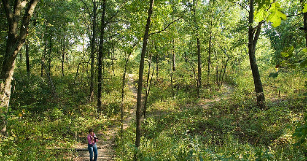 Shoal Creek Preserve Visit Florence