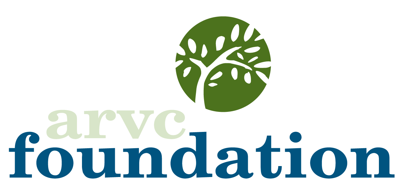 lkpKjckO_FoundationColor_transparenttree_01_png
