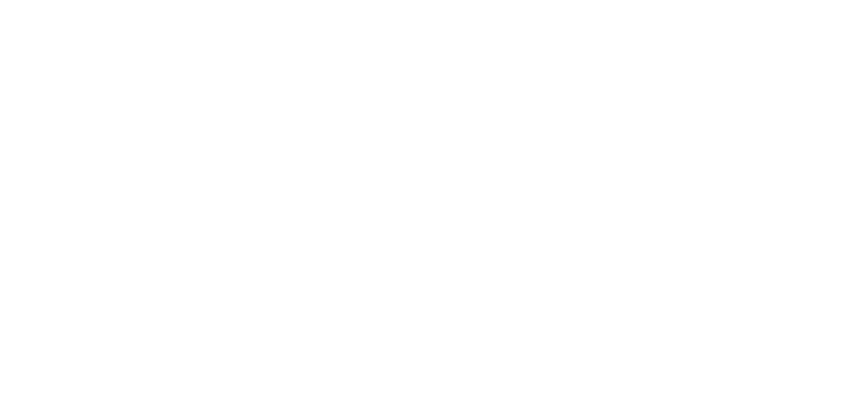 DICK'S Sporting Goods logo