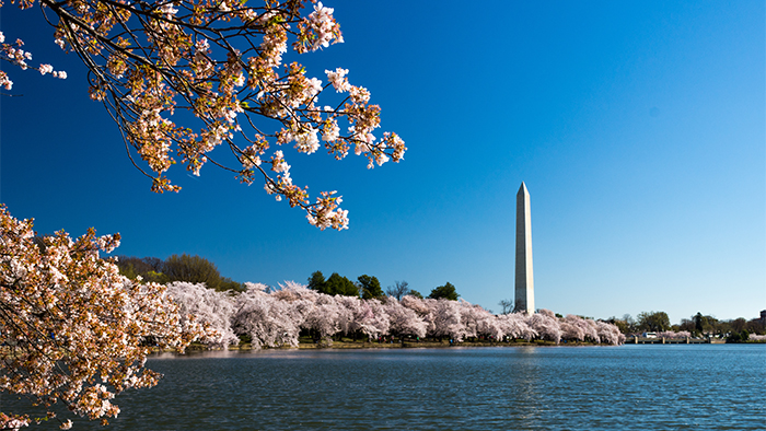 Tax Committee Meeting