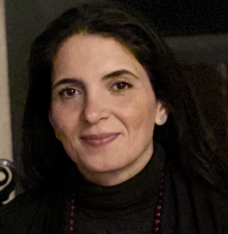 Sherry Shokouhi — practitioner in New York, NY