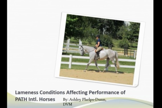 2019 WR - Lameness Conditions