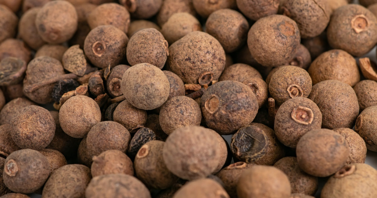 Allspice oil (Pimenta officinalis Lindl.) The Fragrance Conservatory