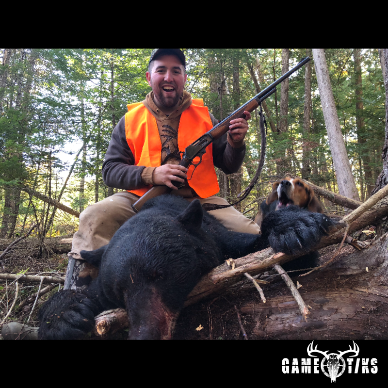 bear harvest by Jon
