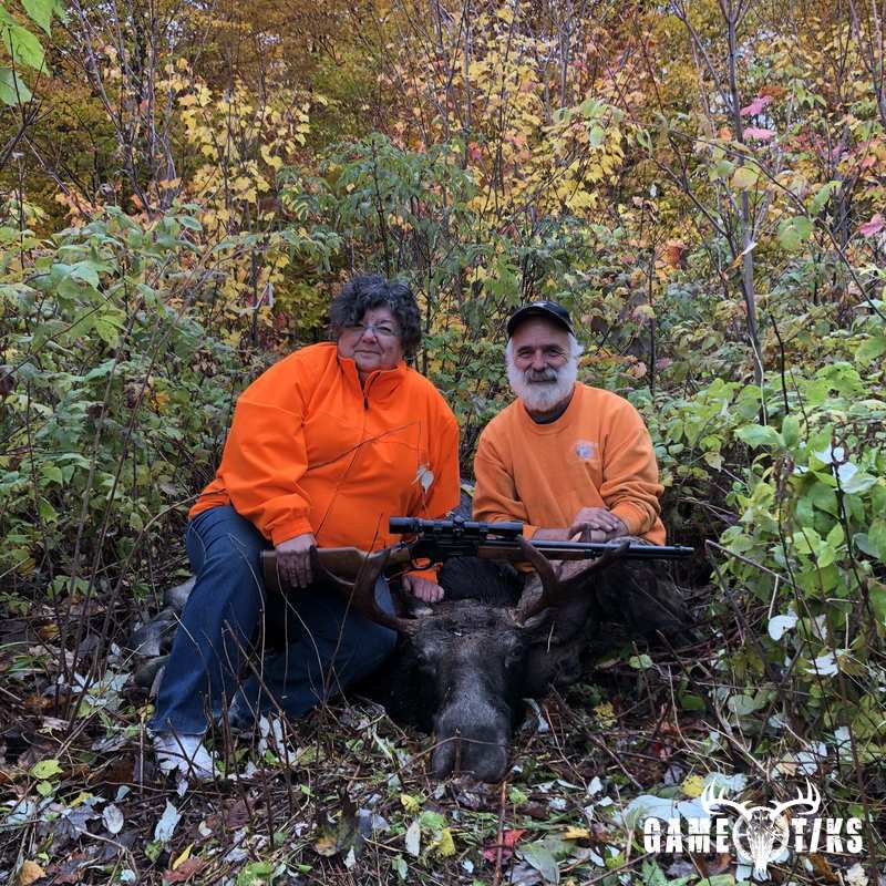 moose harvest by Calix Madore
