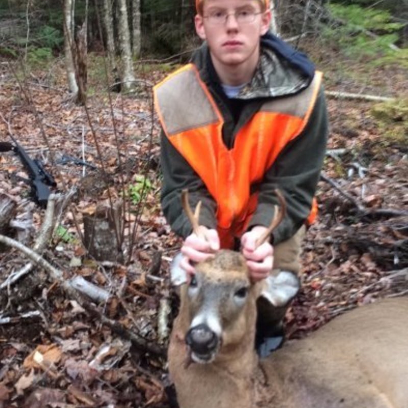 deer harvest by Noah Albert