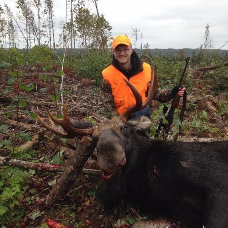 moose harvest by Nolan Murphy