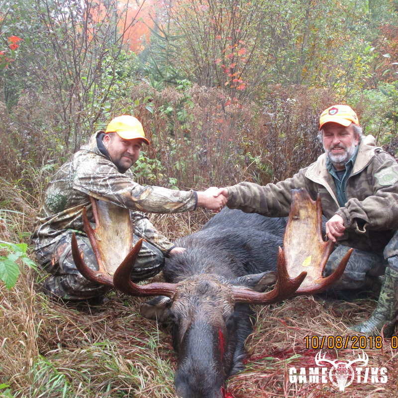 moose harvest by Wanda John Chadbourne