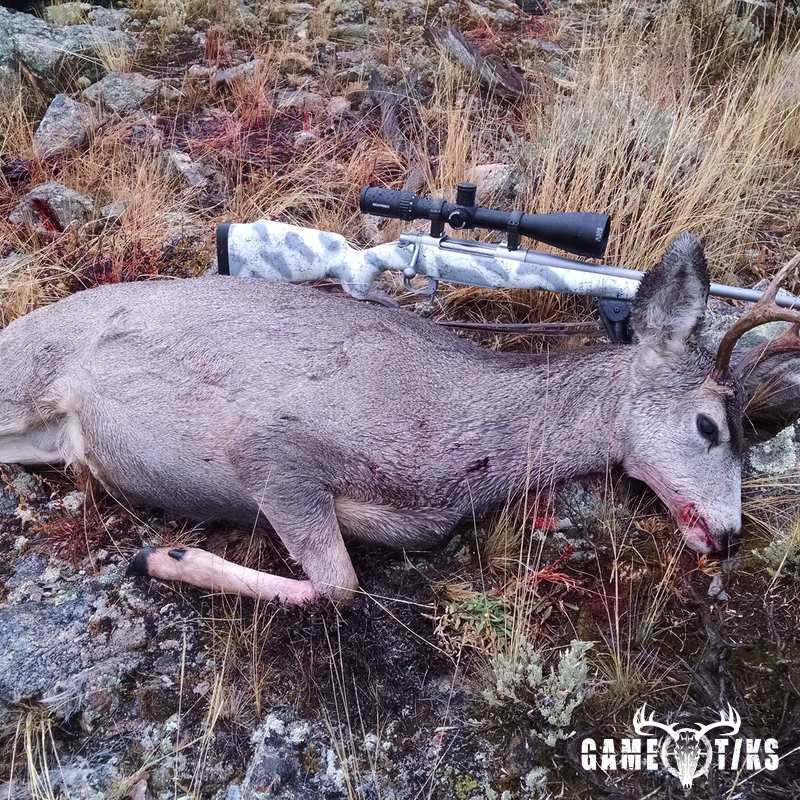 deer harvest by Dean Jackson