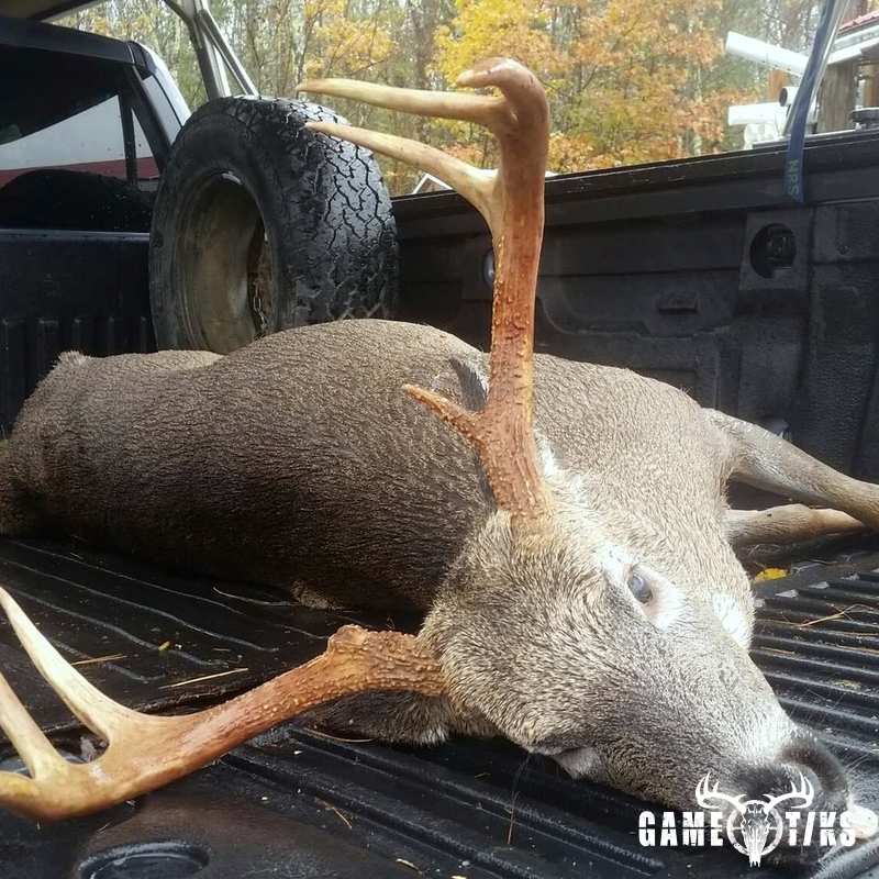 deer harvest by Dave Conley