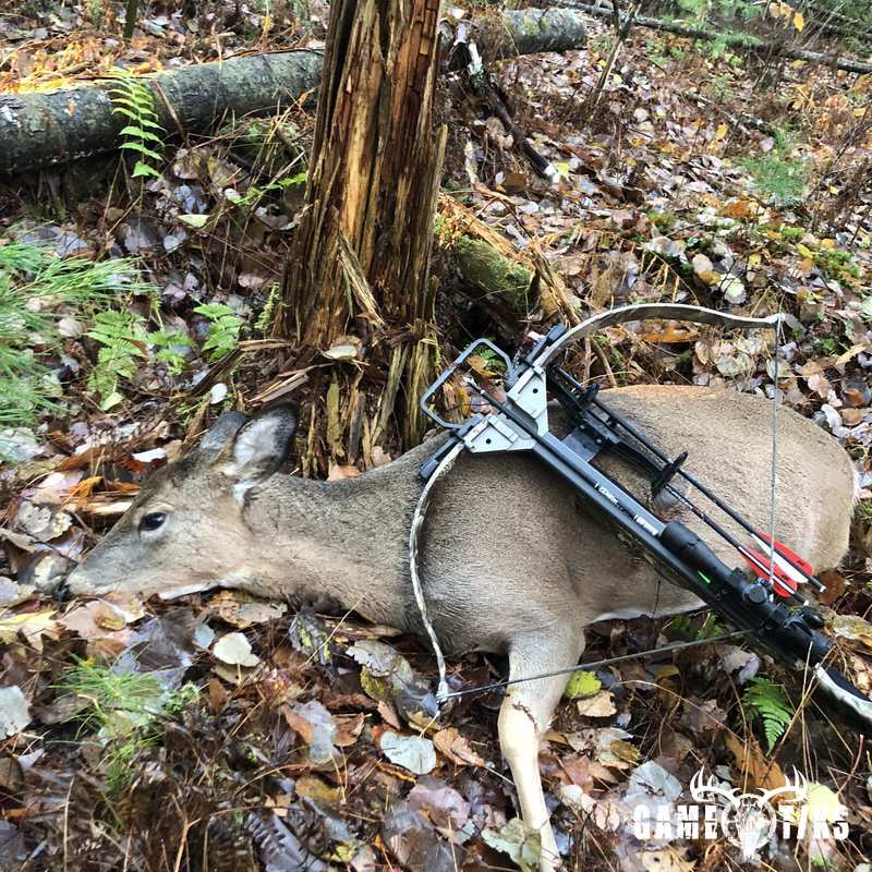 deer harvest by Chad Overlock
