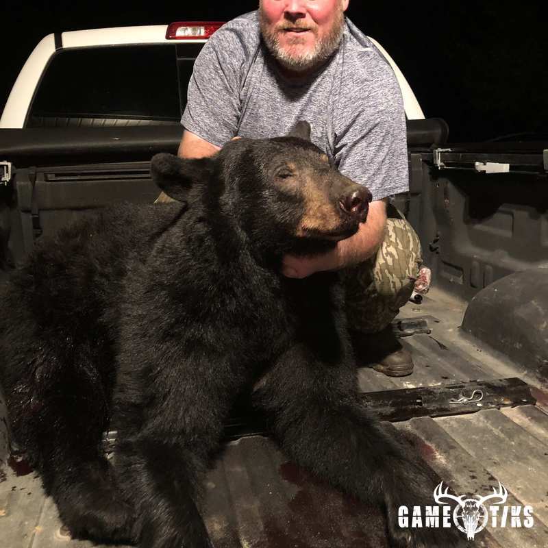 bear harvest by Kevin Smedley