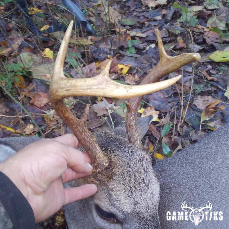 deer harvest by Reed Brown