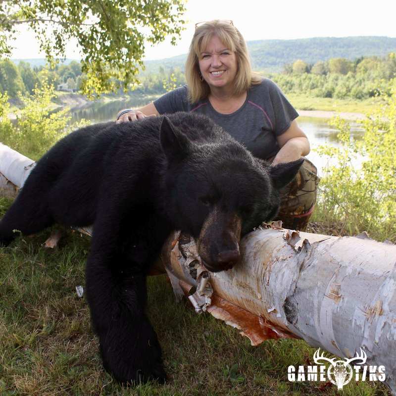 bear harvest by Terrie Kelly