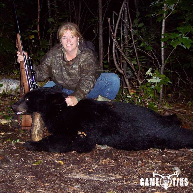bear harvest by Terrie Kelly