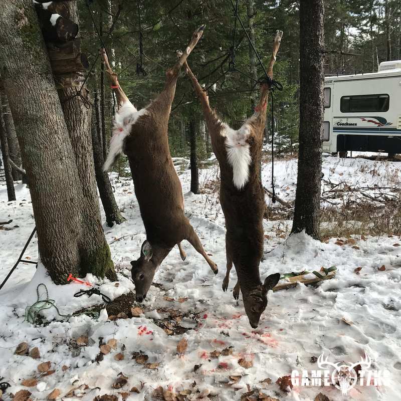 deer harvest by Sam Ray