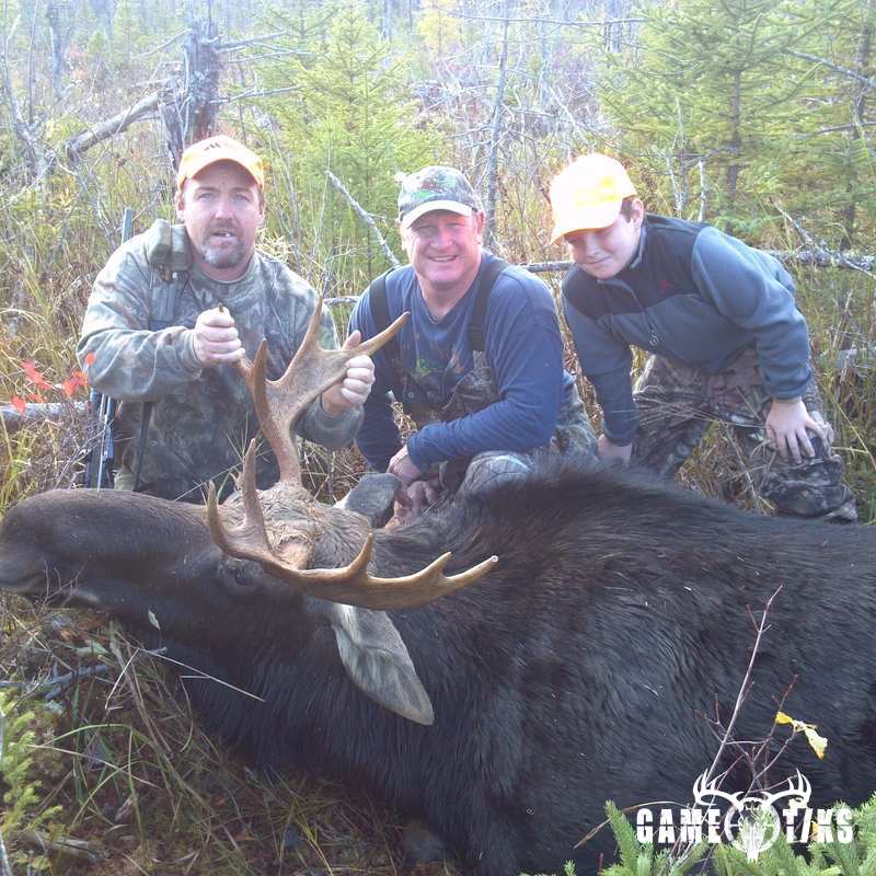 moose harvest by Dean grimble