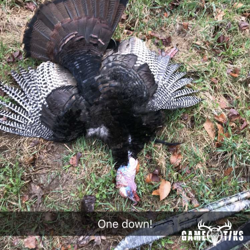 turkey harvest by Sam Ray