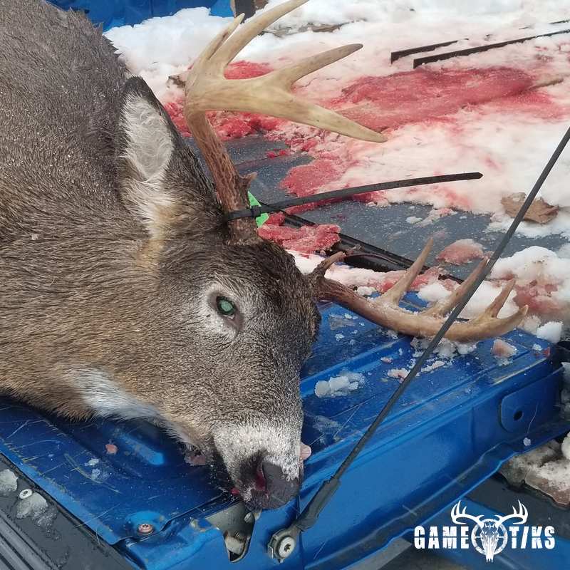 deer harvest by Spencer Seekins