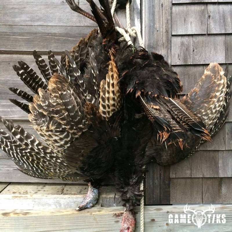 turkey harvest by Terrie Kelly