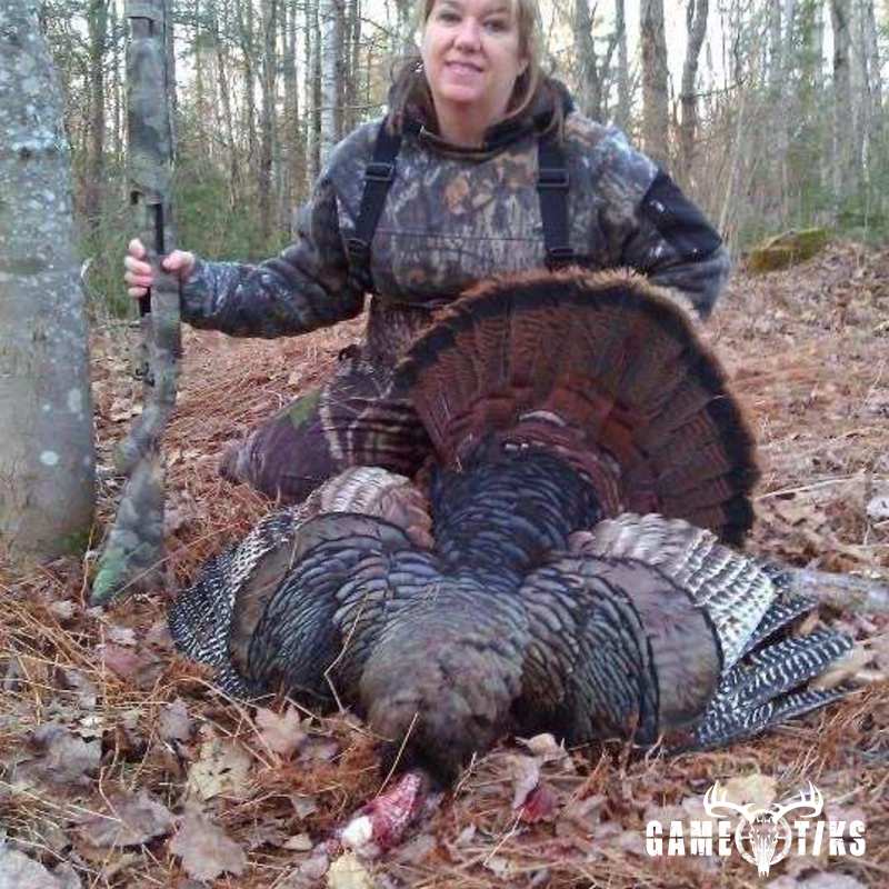 turkey harvest by Terrie Kelly