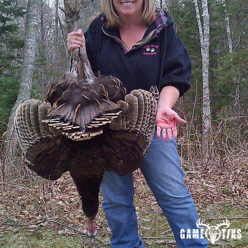 turkey harvest by Terrie Kelly