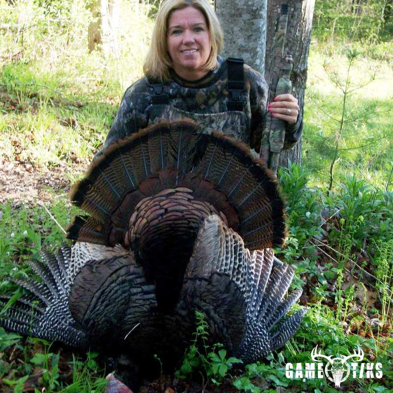 turkey harvest by Terrie Kelly