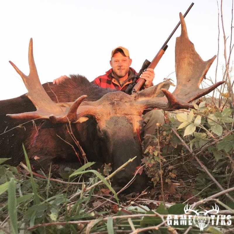 moose harvest by Sam Ray