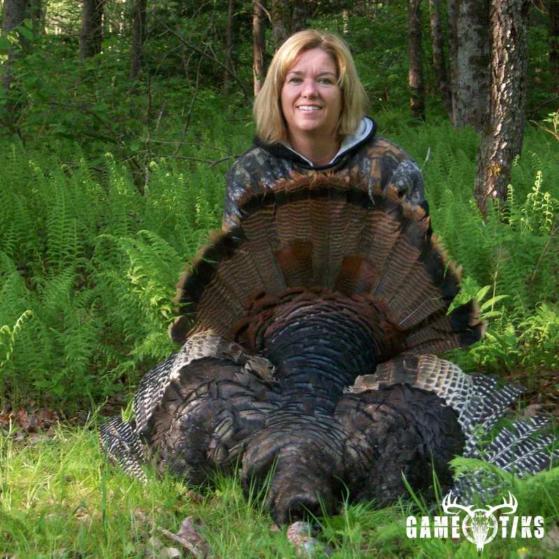 turkey harvest by Terrie Kelly