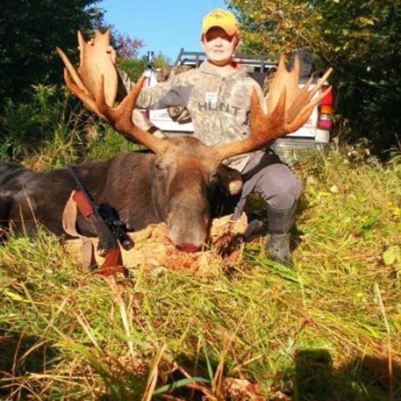 moose harvest by Samuel Holyoke