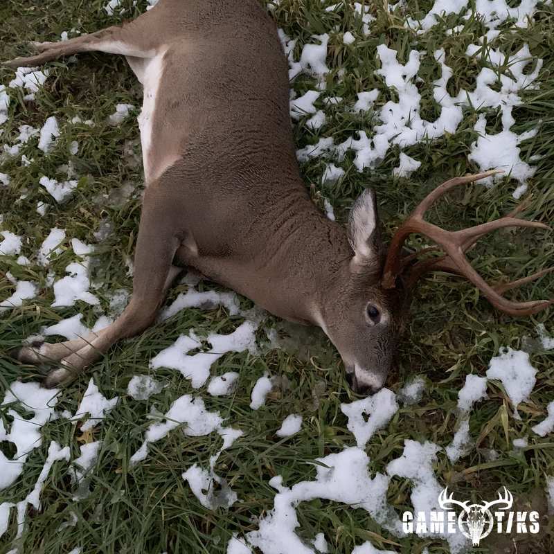 deer harvest by Gerry Lincoln