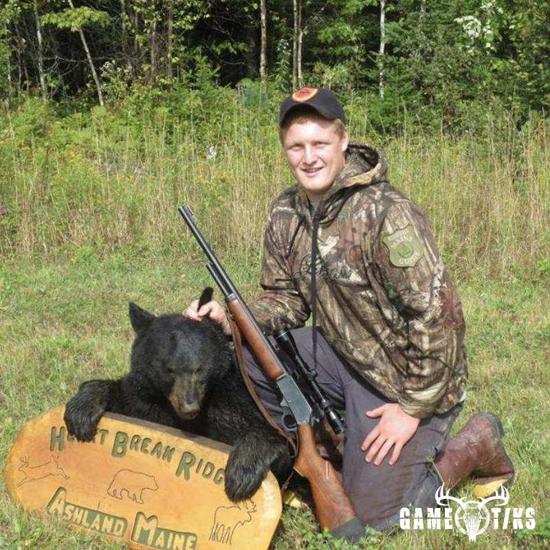 bear harvest by Andrew gibbs