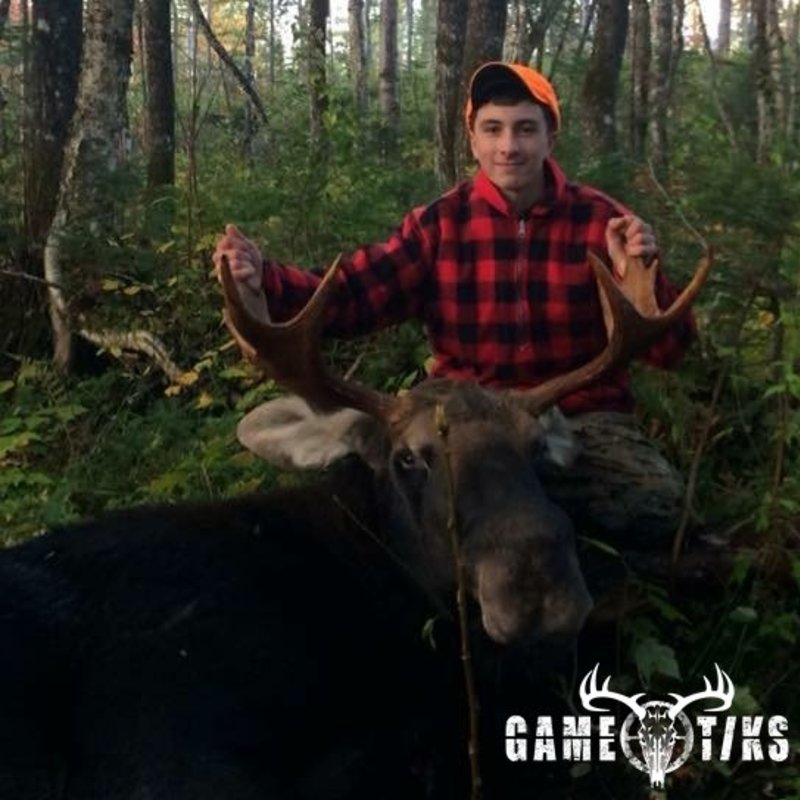 moose harvest by Shawn Colcord