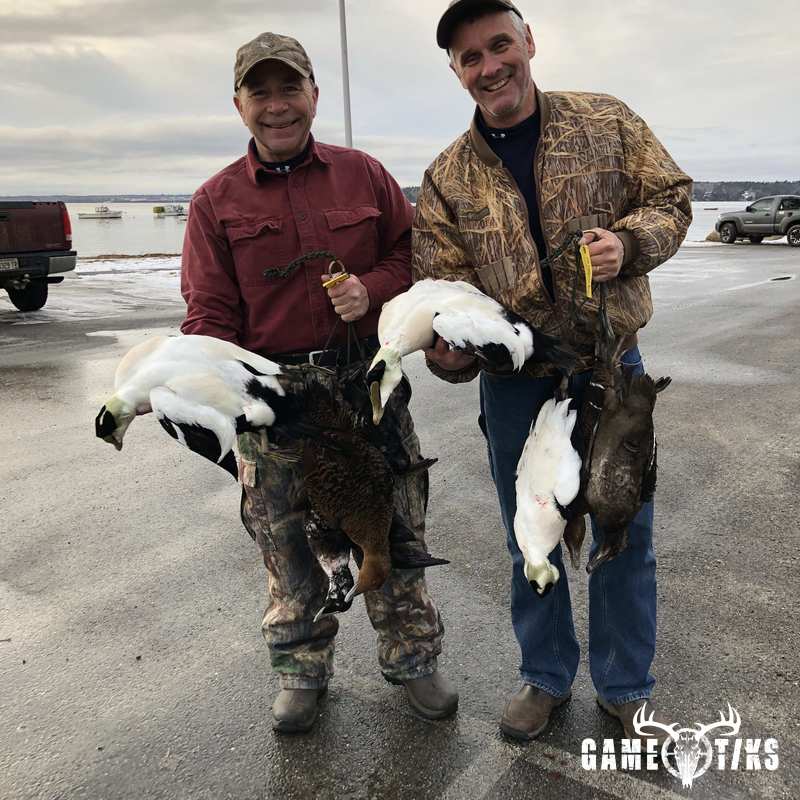 waterfowl harvest by Bold Coast Outfitters