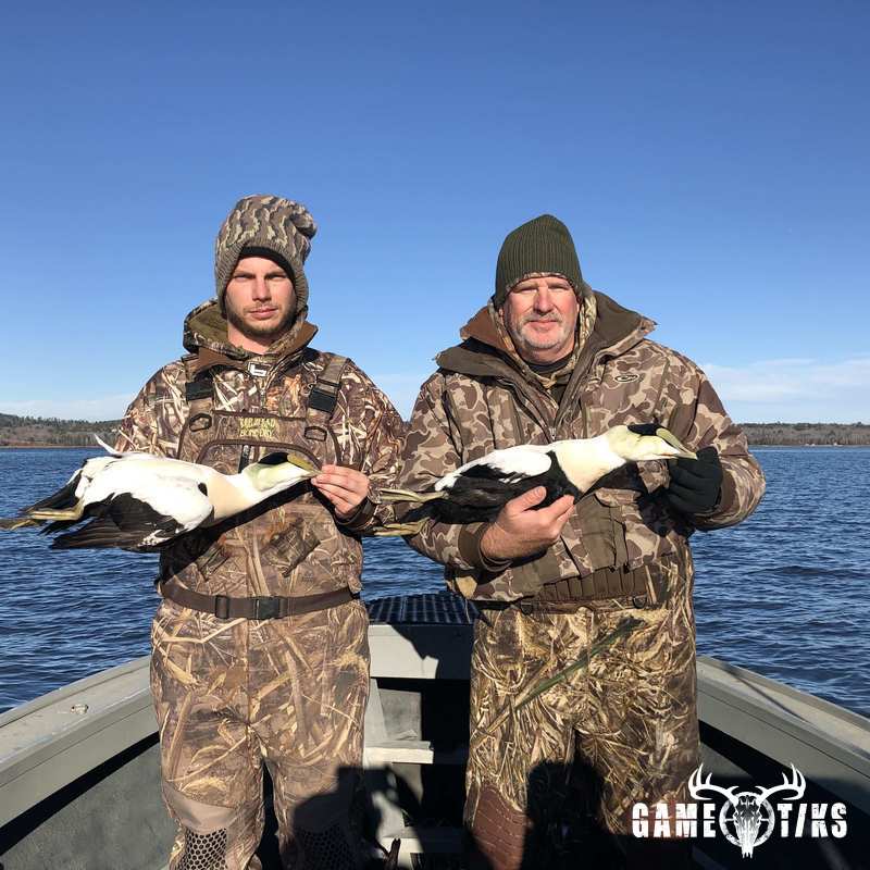 waterfowl harvest by Bold Coast Outfitters
