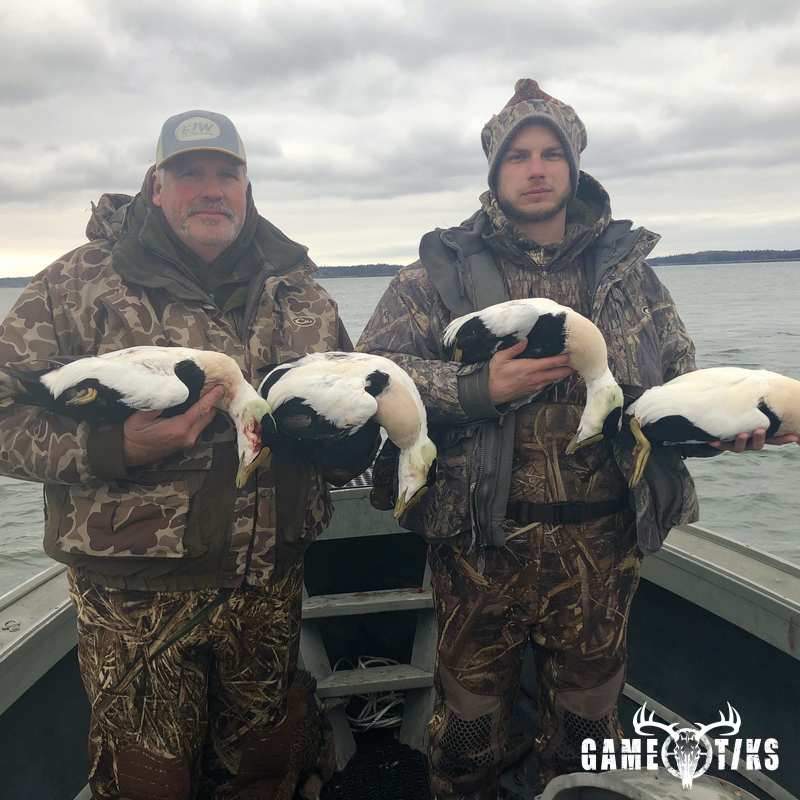 waterfowl harvest by Bold Coast Outfitters