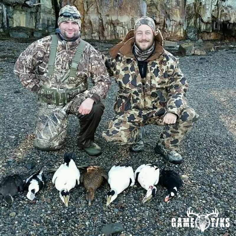 waterfowl harvest by Bold Coast Outfitters