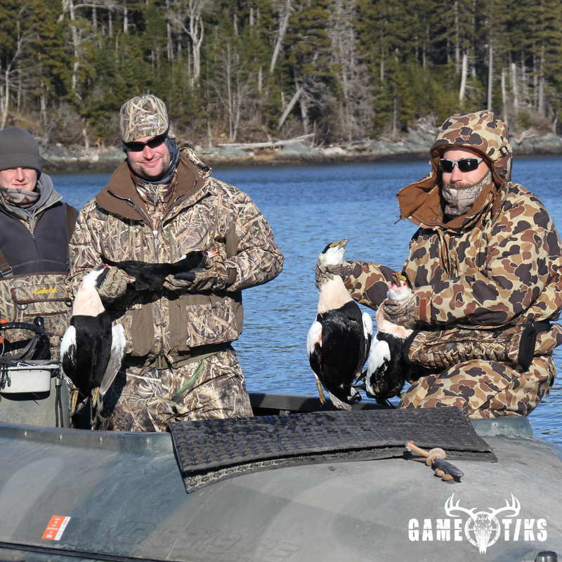waterfowl harvest by Bold Coast Outfitters