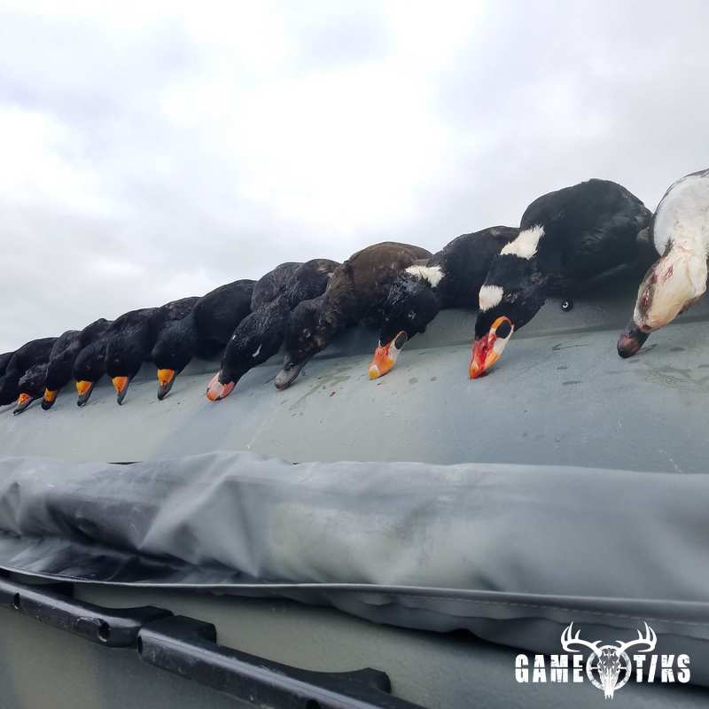 waterfowl harvest by The RiverRats Waterfowl Hunting