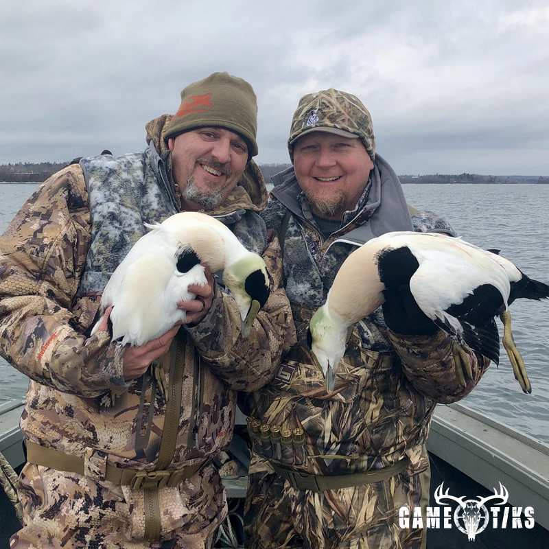waterfowl harvest by Bold Coast Outfitters